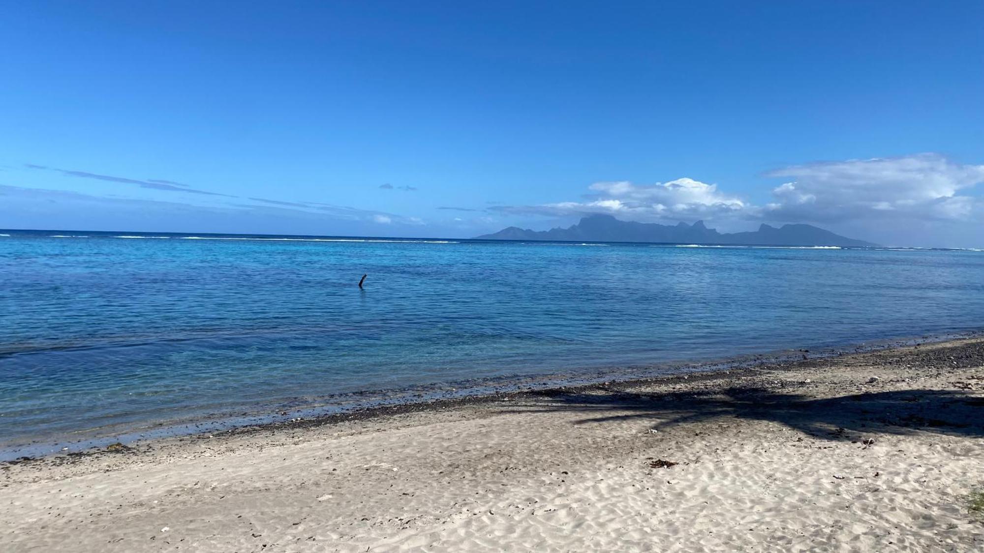 Villa Te Ura Beach Paea Eksteriør billede